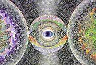 Guam Eye